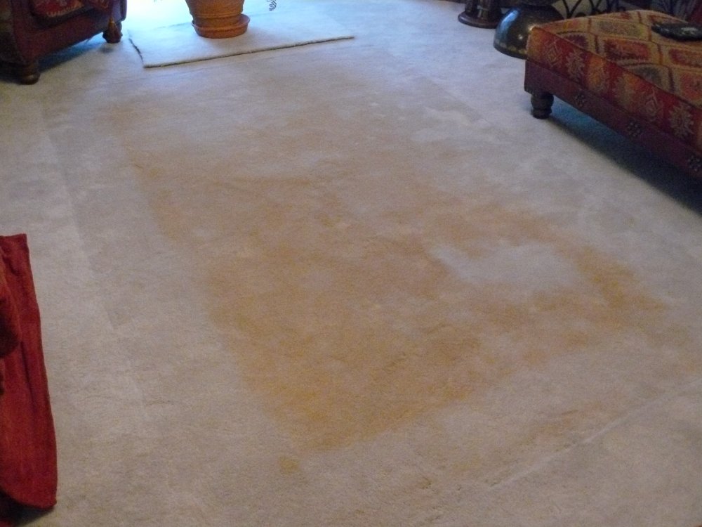 Yellow Stains On Your Carpet Under An, How To Get Yellow Stains Off Vinyl Flooring
